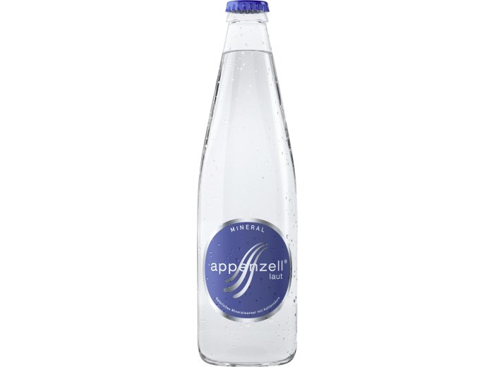 Goba Mineral laut Glas 33cl x24