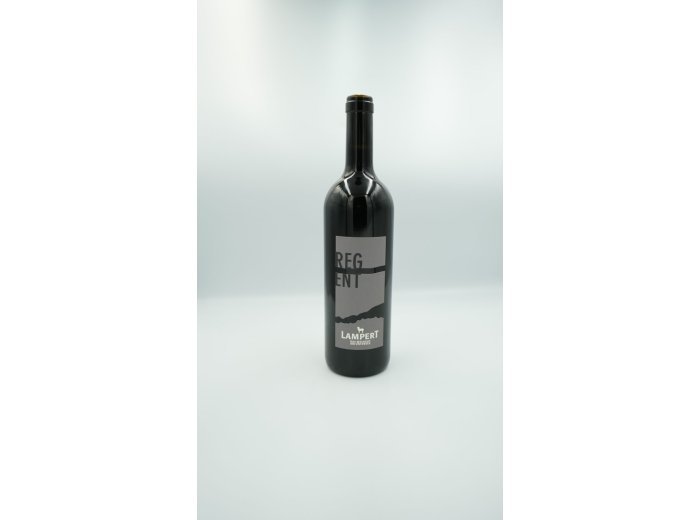 Regent, Weingut Lampert, AOC TG 75cl x6