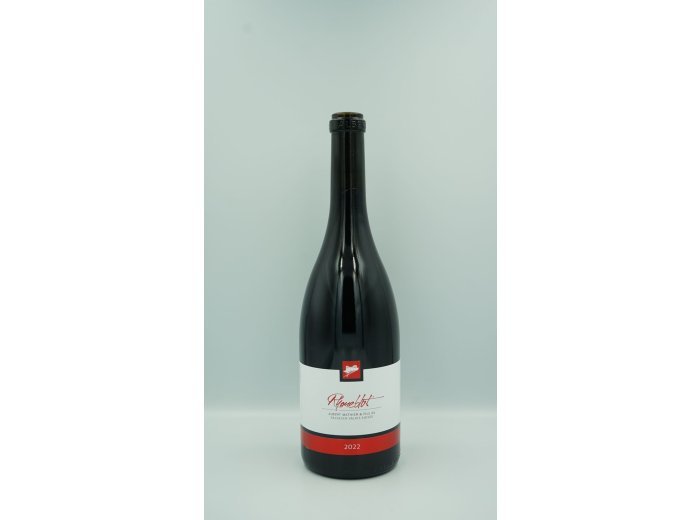 Rhoneblut, Pinot noir de Salquenen, Valais AOC 75cl x6