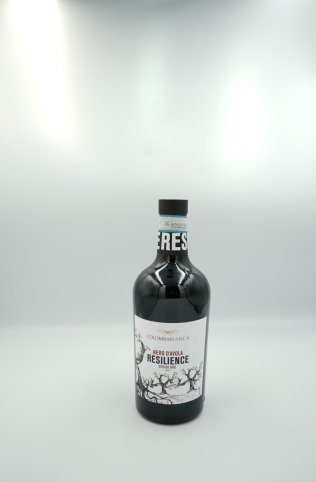 Nero d‘Avola Sicilia DOC Resilience BIO 50cl x12