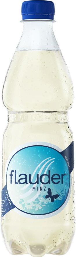 Flauder Minz PET 50cl x24