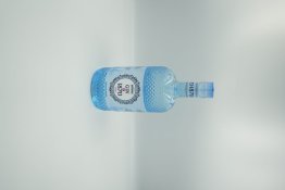 Gin 1870, Blueberry Dry Gin, Bertagnolli 70cl x6