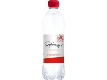 Eptinger rot Ew PET 50cl x24