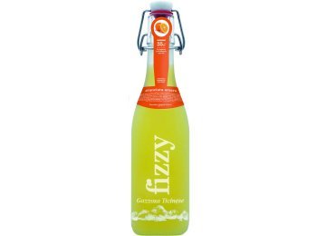 Fizzy Gazzosa Ticinese, al Aranciata Amara Glas 35cl x20
