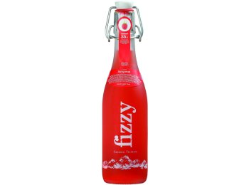 Fizzy Gazzosa Ticinese, al Lampone Glas 35cl x20