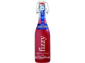 Fizzy Gazzosa Ticinese, al Mirtillo Glas 35cl x20