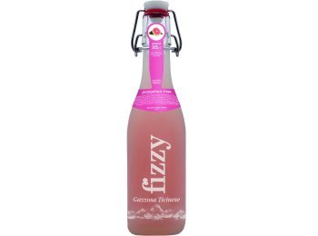 Fizzy Gazzosa Ticinese, al Pampelmo rosa Glas 35cl x20
