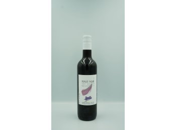Rhoneblut, Pinot noir, Mathier, Valais AOC 50cl x15
