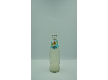 Schweppes Bitterlemon DE 20cl x24