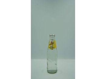 Schweppes Tonic Water DE 20cl x24